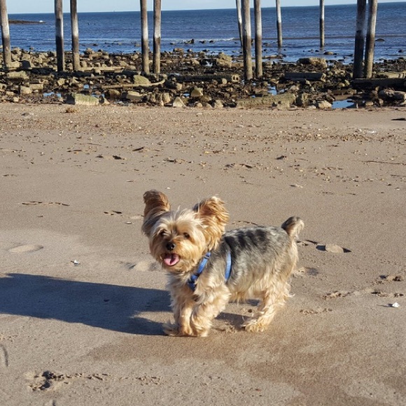 Meet your Posher, Rebecca - Picture 1 of 1